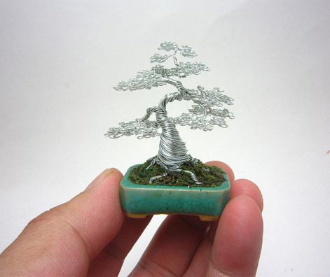 rez-bonsai-3.jpg